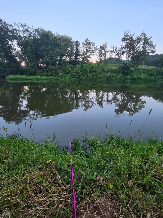 Fishing rods set along a grassy bank looking across Yadkin River, a peaceful setting for great fishing and fun at Hillbilly Campground.